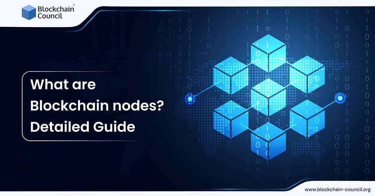 Blockchain nodes